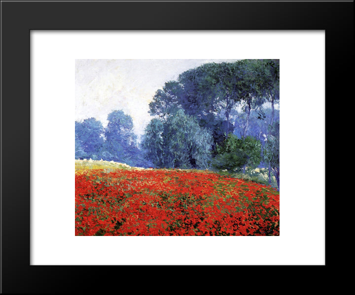 Poppy Field 20x24 Black Modern Wood Framed Art Print Poster by Rose, Guy