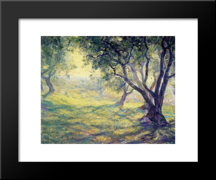 Provincial Olive Grove 20x24 Black Modern Wood Framed Art Print Poster by Rose, Guy