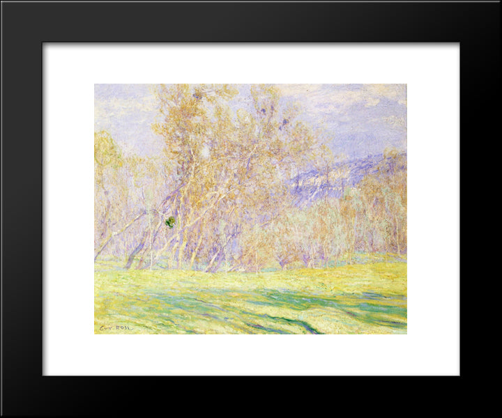 Spring 20x24 Black Modern Wood Framed Art Print Poster by Rose, Guy