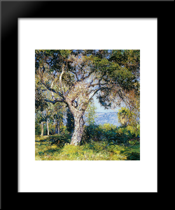 The Oak 20x24 Black Modern Wood Framed Art Print Poster by Rose, Guy