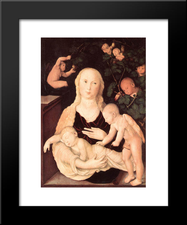 Virgin Of The Vine Trellis 20x24 Black Modern Wood Framed Art Print Poster by Baldung, Hans