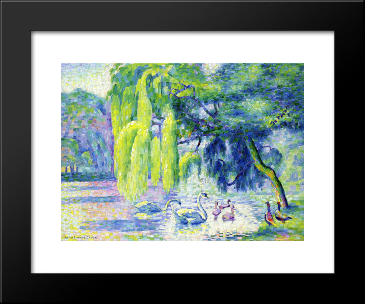 Family Of Swans 20x24 Black Modern Wood Framed Art Print Poster by Cross, Henri Edmond