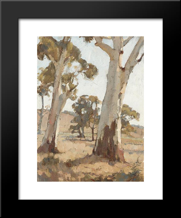 Study, Gum Trees, Woodside 20x24 Black Modern Wood Framed Art Print Poster by Trenerry, Horace