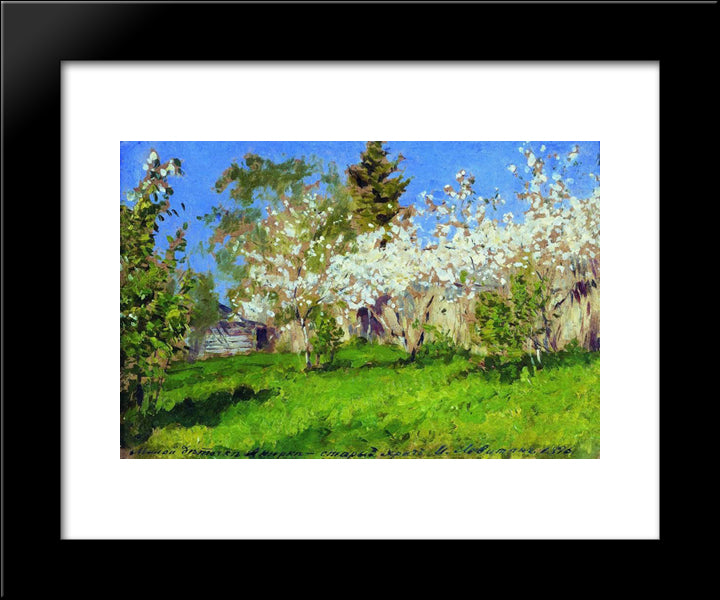 Apple Trees In Blossom 20x24 Black Modern Wood Framed Art Print Poster by Levitan, Isaac