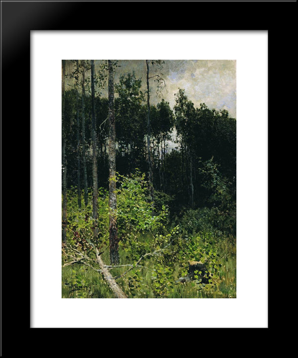 Aspen Spinny. A Gray Day. 20x24 Black Modern Wood Framed Art Print Poster by Levitan, Isaac
