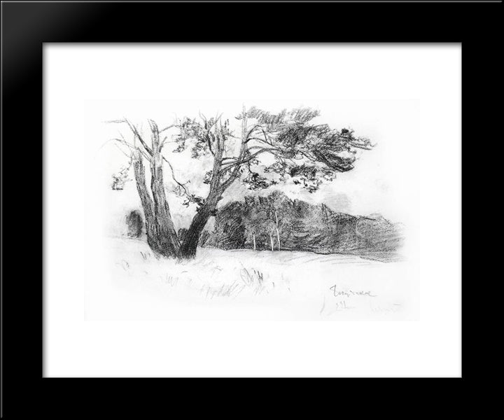 Edge Of Forest 20x24 Black Modern Wood Framed Art Print Poster by Levitan, Isaac