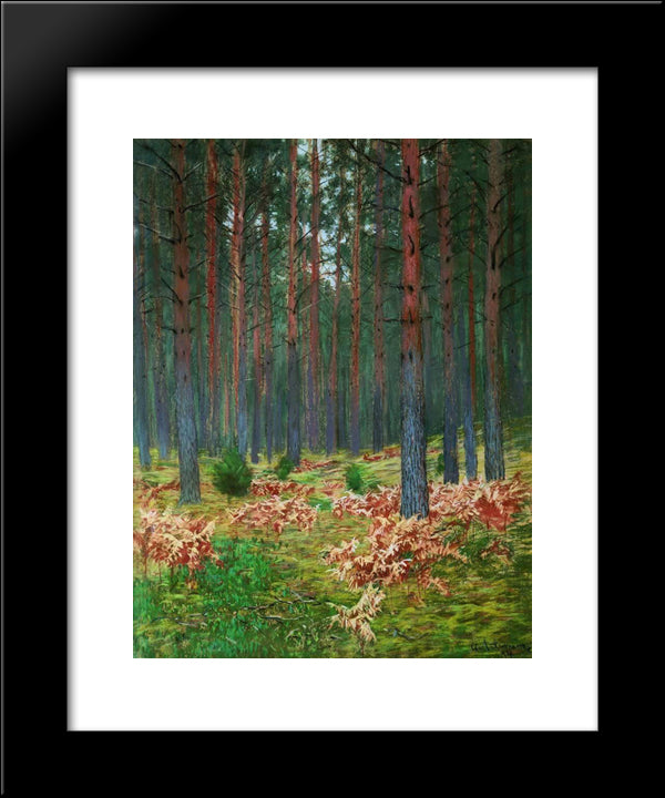 Landscape With Ferns 20x24 Black Modern Wood Framed Art Print Poster by Levitan, Isaac