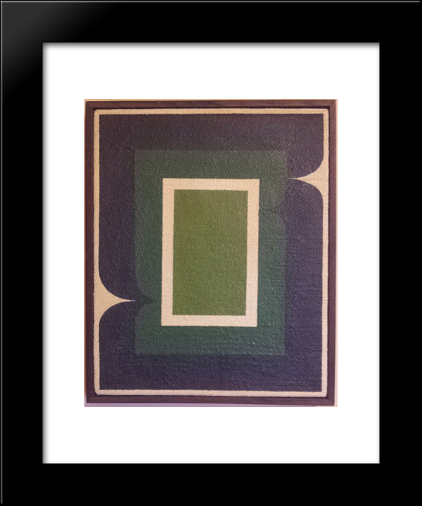 Serie Amazonica No 8 20x24 Black Modern Wood Framed Art Print Poster by Serpa, Ivan
