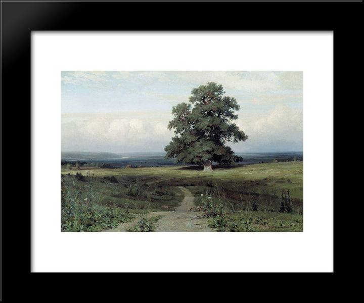 Among The Open Valley 20x24 Black Modern Wood Framed Art Print Poster by Shishkin, Ivan