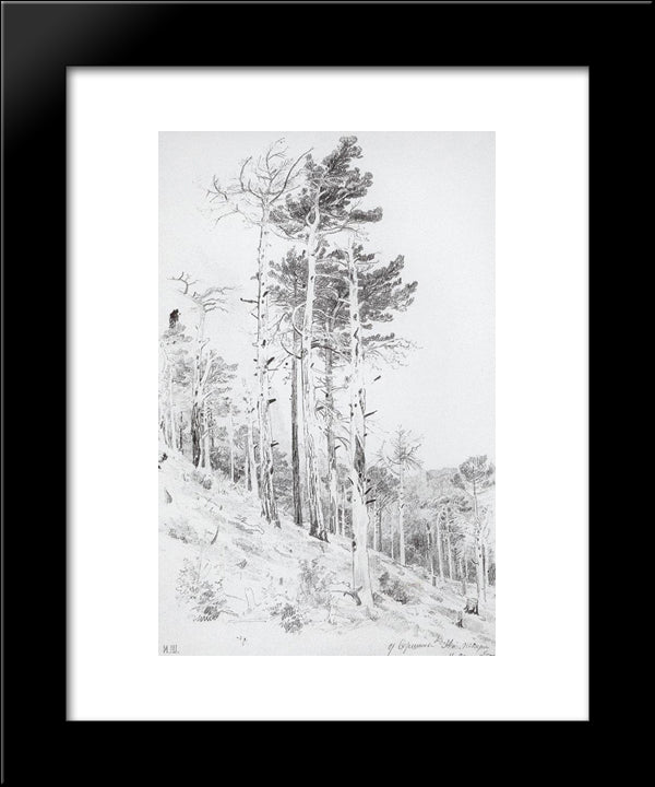 At The Top Of The Ai-Petri 20x24 Black Modern Wood Framed Art Print Poster by Shishkin, Ivan