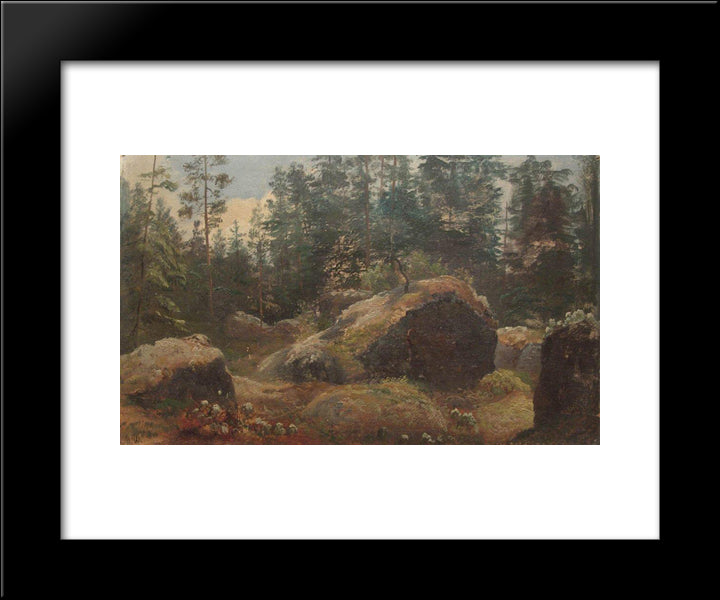 Boulders In Forest 20x24 Black Modern Wood Framed Art Print Poster by Shishkin, Ivan
