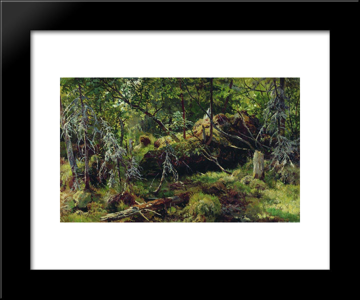 Branches 20x24 Black Modern Wood Framed Art Print Poster by Shishkin, Ivan