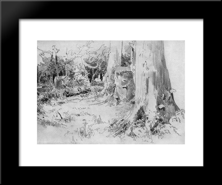 Carved Wood 20x24 Black Modern Wood Framed Art Print Poster by Shishkin, Ivan