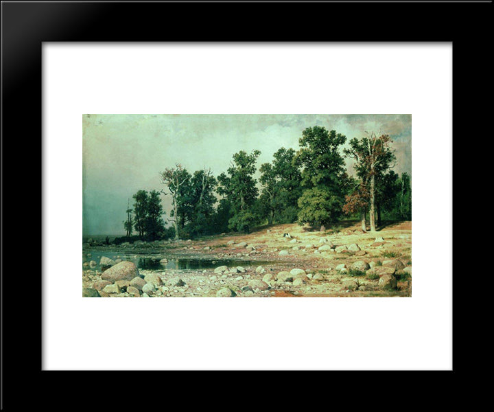 Coast Of Oak Grove Of Peter The Great In Sestroretsk 20x24 Black Modern Wood Framed Art Print Poster by Shishkin, Ivan