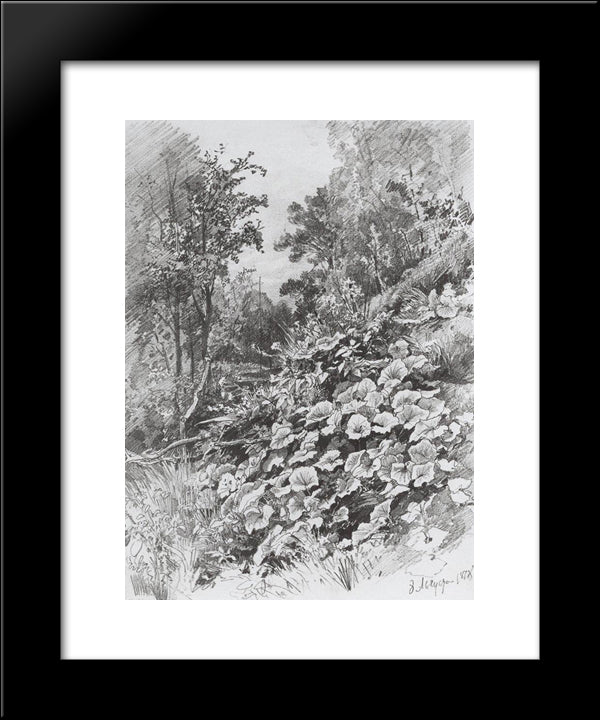 Coltsfoot 20x24 Black Modern Wood Framed Art Print Poster by Shishkin, Ivan