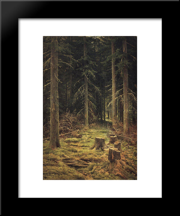 Coniferous Forest 20x24 Black Modern Wood Framed Art Print Poster by Shishkin, Ivan
