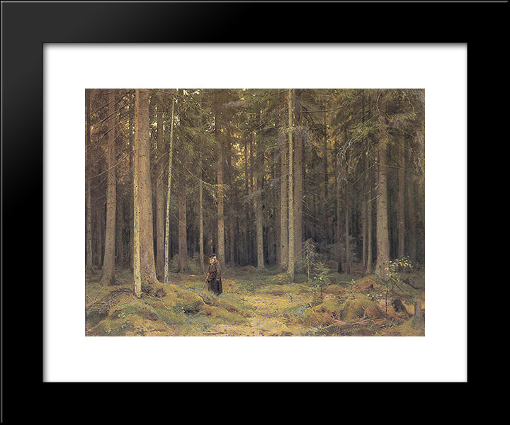 Countess Mordvinov'S Forest 20x24 Black Modern Wood Framed Art Print Poster by Shishkin, Ivan