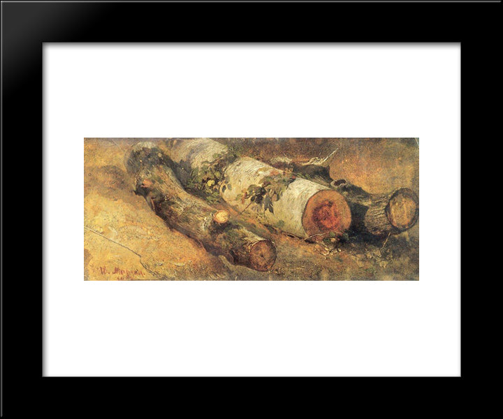 Cut Down Birch 20x24 Black Modern Wood Framed Art Print Poster by Shishkin, Ivan