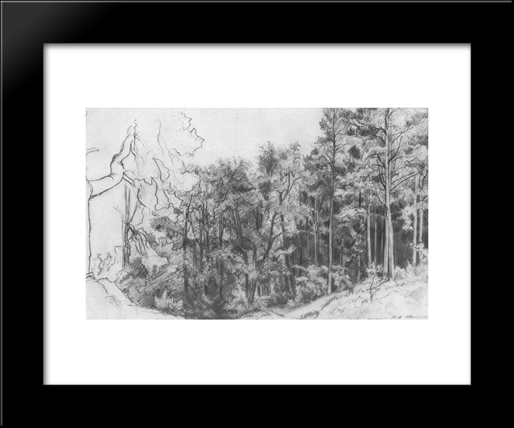 Deciduous Forest 20x24 Black Modern Wood Framed Art Print Poster by Shishkin, Ivan