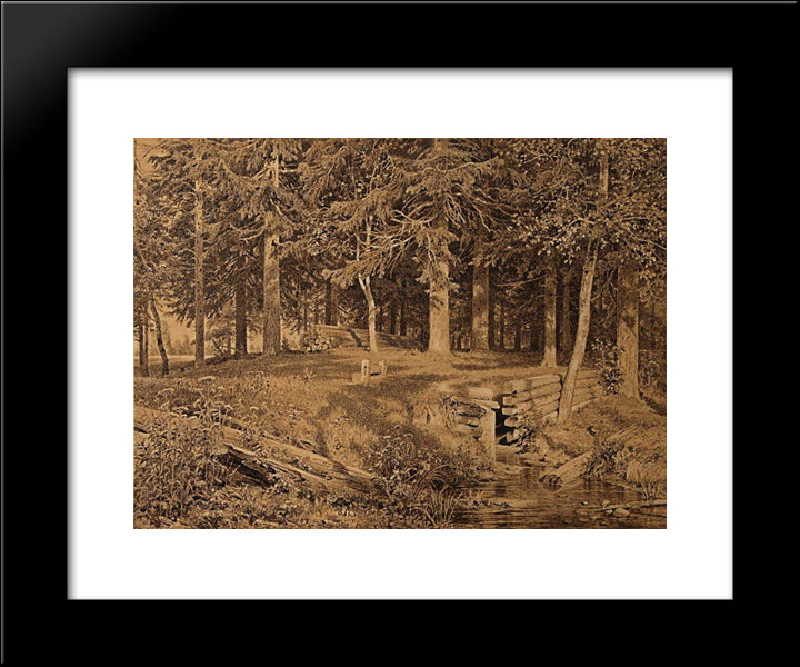 Edge Of The Forest (Spruce Forest) 20x24 Black Modern Wood Framed Art Print Poster by Shishkin, Ivan