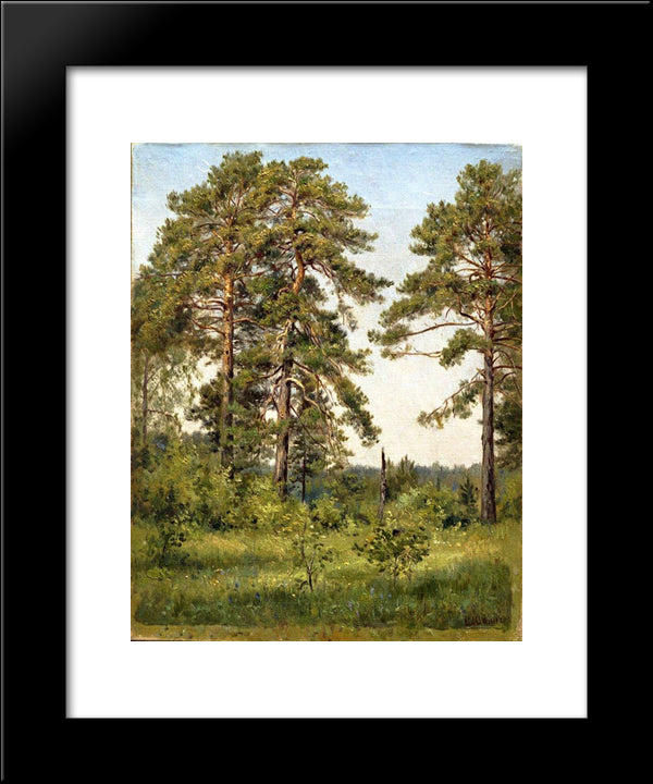 Edge Of The Pine Forest 20x24 Black Modern Wood Framed Art Print Poster by Shishkin, Ivan