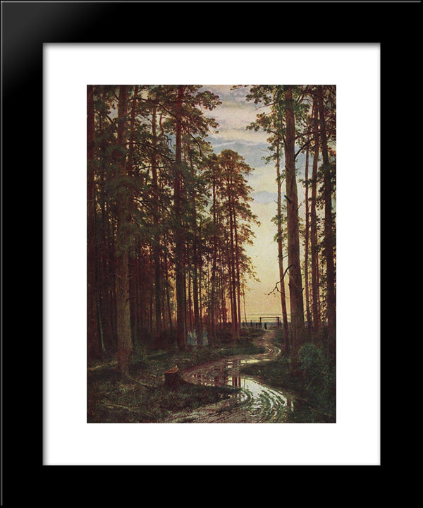 Evening In A Pine Forest 20x24 Black Modern Wood Framed Art Print Poster by Shishkin, Ivan
