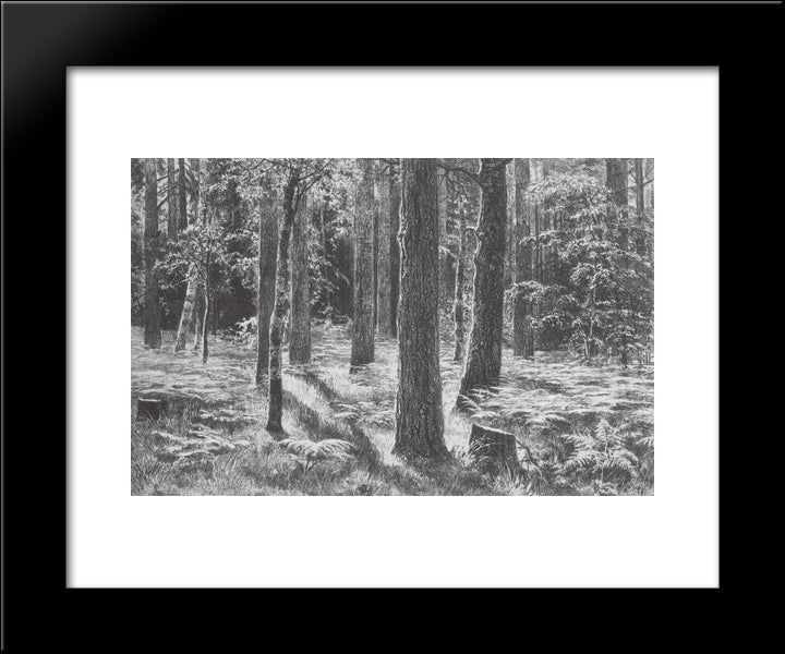 Ferns 20x24 Black Modern Wood Framed Art Print Poster by Shishkin, Ivan