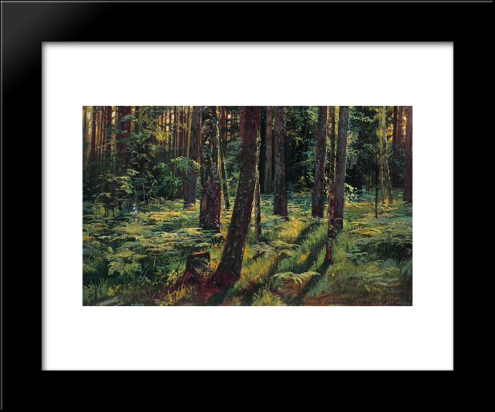Ferns In The Forest. Siverskaya 20x24 Black Modern Wood Framed Art Print Poster by Shishkin, Ivan