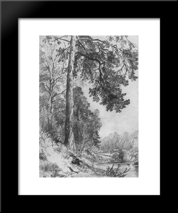 Forest River. Siverskaya 20x24 Black Modern Wood Framed Art Print Poster by Shishkin, Ivan