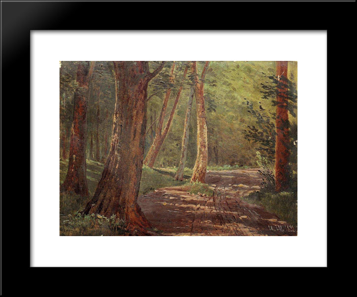 Forest Road 20x24 Black Modern Wood Framed Art Print Poster by Shishkin, Ivan