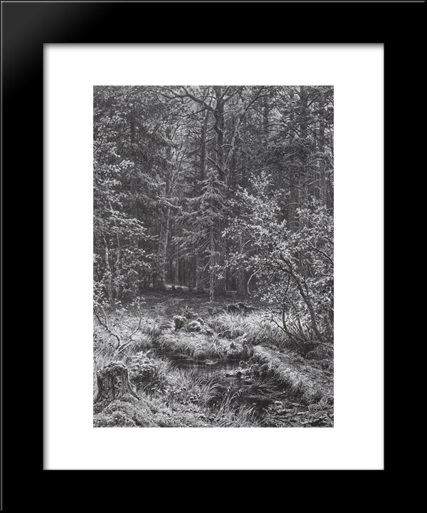 Forest Swamp 20x24 Black Modern Wood Framed Art Print Poster by Shishkin, Ivan