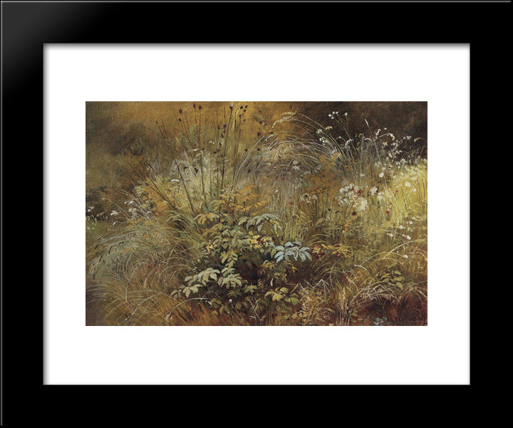 Grass 20x24 Black Modern Wood Framed Art Print Poster by Shishkin, Ivan