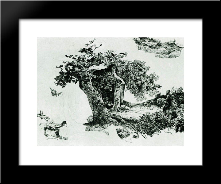 Group Of Deciduous Trees And Stones 20x24 Black Modern Wood Framed Art Print Poster by Shishkin, Ivan