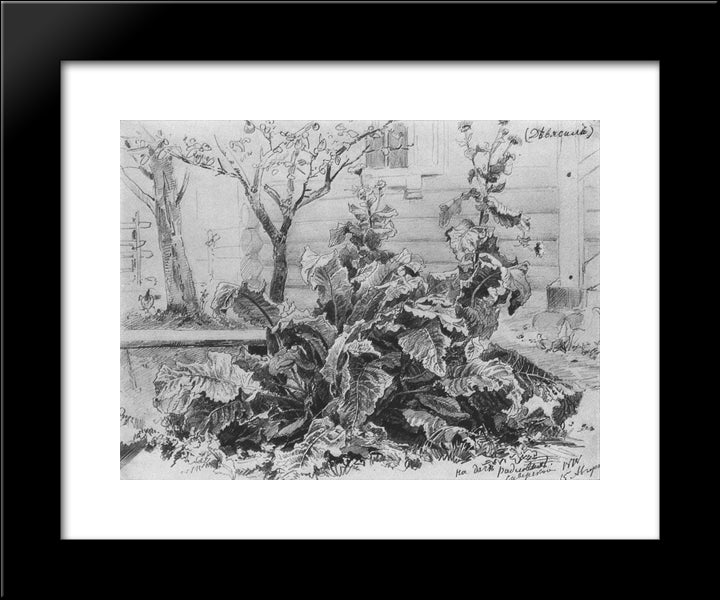Mugs 20x24 Black Modern Wood Framed Art Print Poster by Shishkin, Ivan
