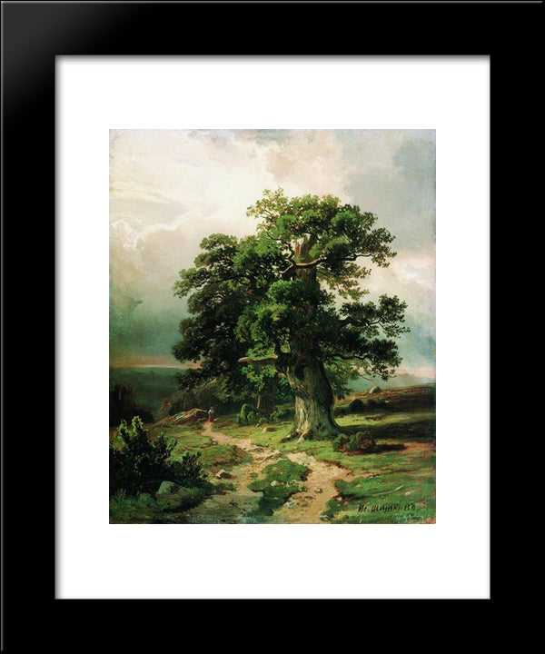 Oak 20x24 Black Modern Wood Framed Art Print Poster by Shishkin, Ivan