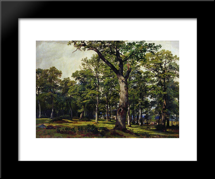 Oak Forest 20x24 Black Modern Wood Framed Art Print Poster by Shishkin, Ivan