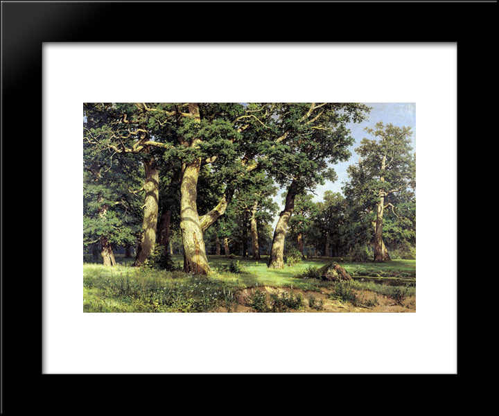 Oak Grove 20x24 Black Modern Wood Framed Art Print Poster by Shishkin, Ivan