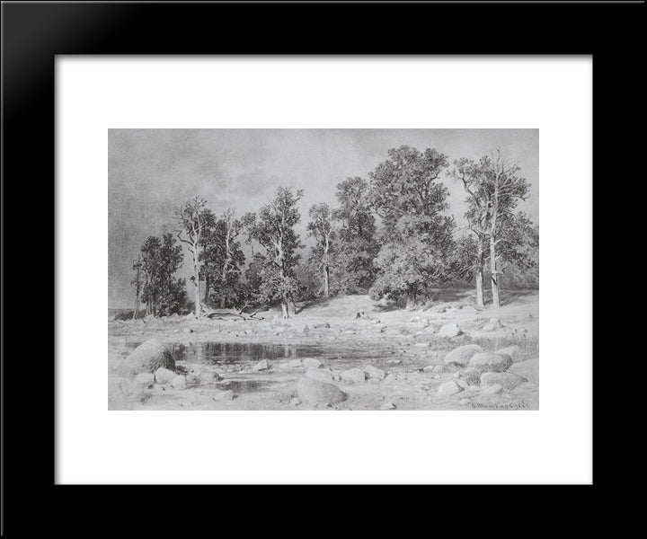 Oak Grove Of Peter The Great On The Coast Of The Gulf In Sestroretsk 20x24 Black Modern Wood Framed Art Print Poster by Shishkin, Ivan