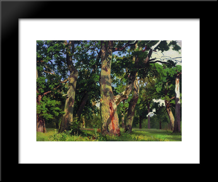 Oaks. Evening 20x24 Black Modern Wood Framed Art Print Poster by Shishkin, Ivan
