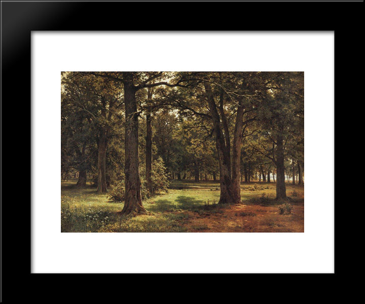 Oaks Of Peter The Great In Sestroretsk 20x24 Black Modern Wood Framed Art Print Poster by Shishkin, Ivan