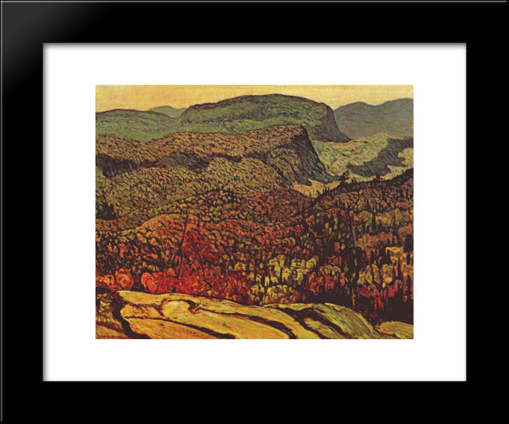 Forest Wilderness 20x24 Black Modern Wood Framed Art Print Poster by MacDonald, J. E. H.