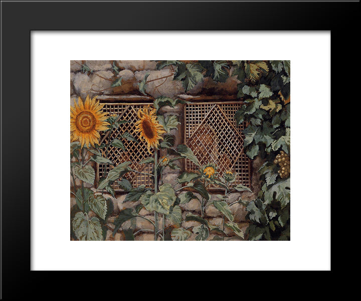 Behold He Standeth Behind Our Wall 20x24 Black Modern Wood Framed Art Print Poster by Tissot, James