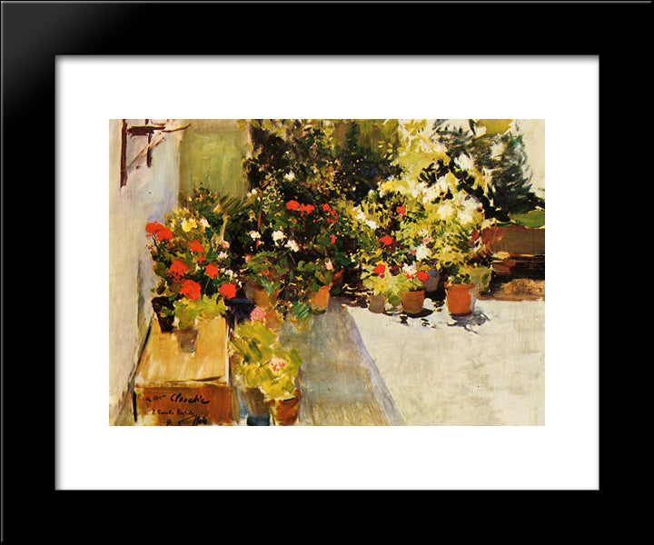 A Rooftop With Flowers 20x24 Black Modern Wood Framed Art Print Poster by Sorolla, Joaquin
