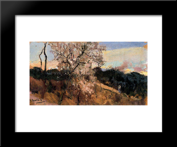 Almond Trees In Asis 20x24 Black Modern Wood Framed Art Print Poster by Sorolla, Joaquin