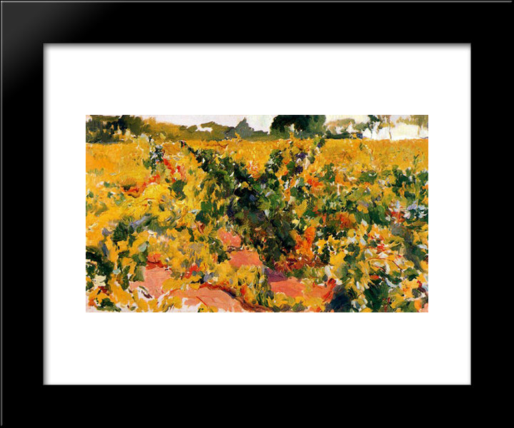 Study Of Vineyard 20x24 Black Modern Wood Framed Art Print Poster by Sorolla, Joaquin