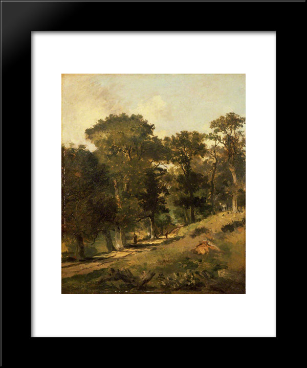 Postwick Grove, Norwich 20x24 Black Modern Wood Framed Art Print Poster by Crome, John
