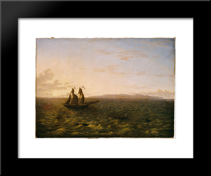 The Island Of Madeira 20x24 Black Modern Wood Framed Art Print Poster by Glover, John