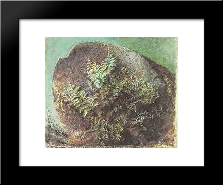 Ferns On A Rock 20x24 Black Modern Wood Framed Art Print Poster by Ruskin, John
