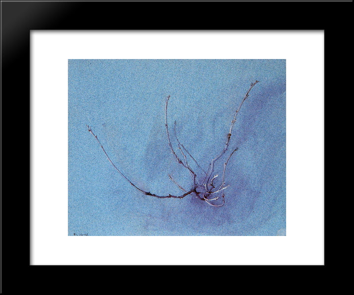 Oak Spray In Winter 20x24 Black Modern Wood Framed Art Print Poster by Ruskin, John