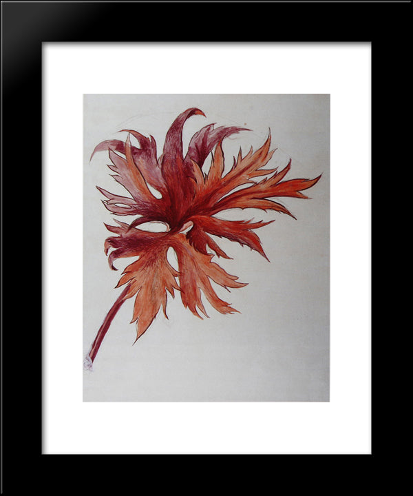 Orange And Purple Leafspray 20x24 Black Modern Wood Framed Art Print Poster by Ruskin, John